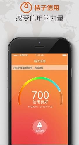 桔子信用