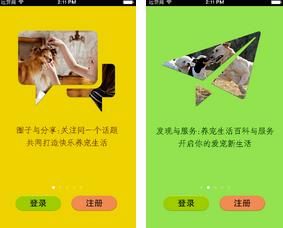 宠物圈