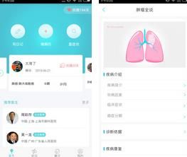 肿瘤说