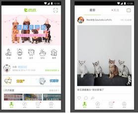 爪爪