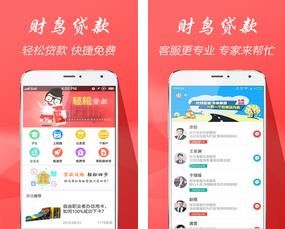 财鸟贷款