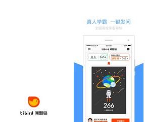闻题鸟