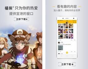 极装