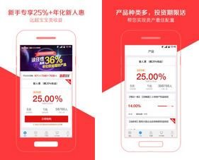 PP理财