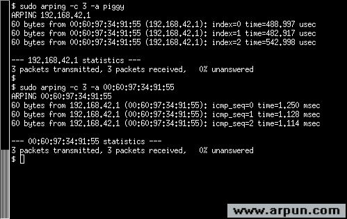 Arping(ARPping)2.11