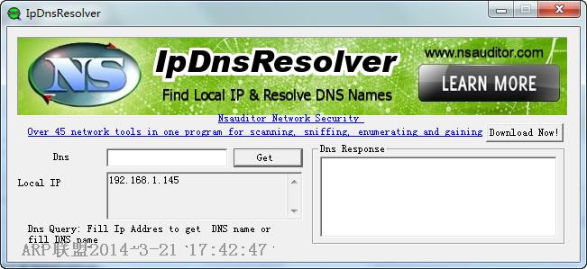 DNS查询(IpDnsResolver)