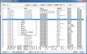 子域名检测大师(自由博客)专版