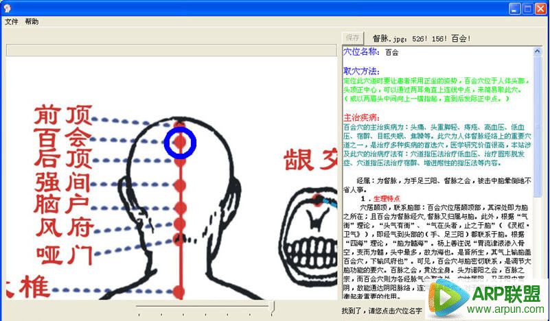中医穴位图注与解