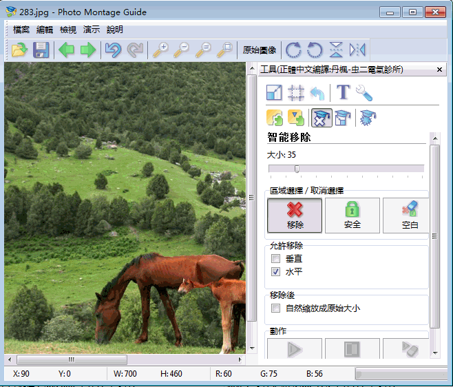 Photo Montage Guide