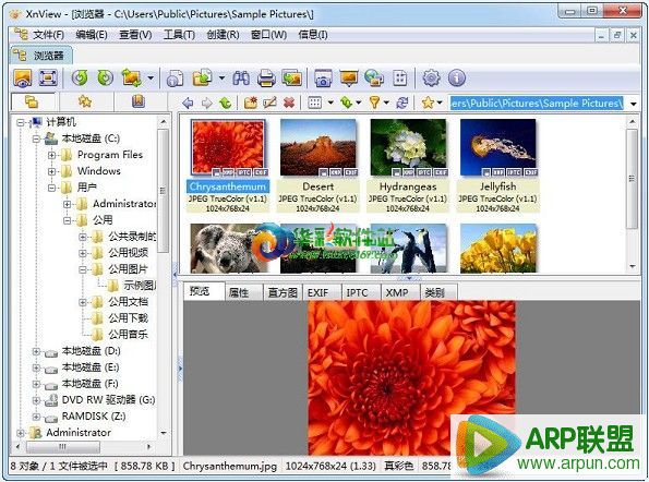 XnView(ͼ鿴)Ѷ