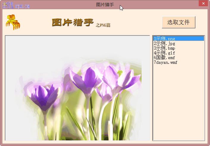 明星图片猎手