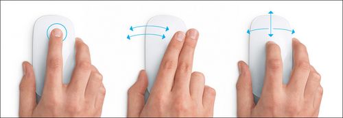 ƻmagic mouse(magic mouse)