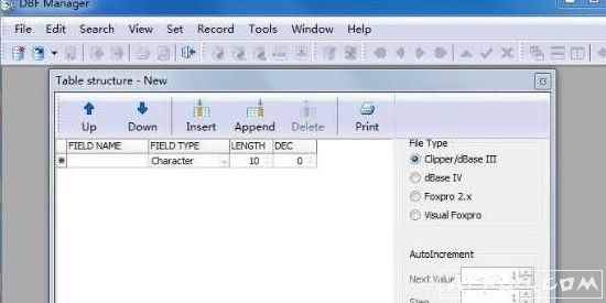 DBF Manager
